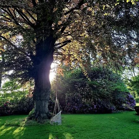 Apartamento Rotbuche *