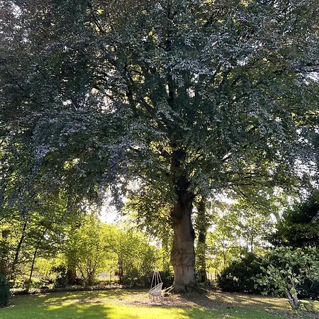 Rotbuche Apartamento Rastede